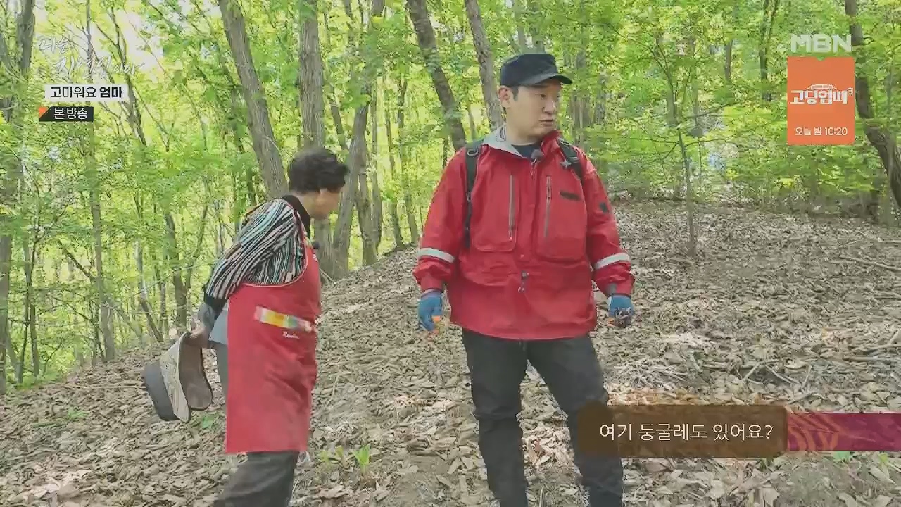 나는 자연인이다.E554.230518p.H264-F1RST.mp4_20230518_194515.407.jpg