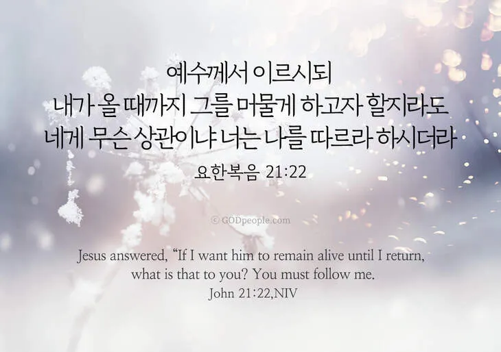 요한복음 21장 실패한 자 기도문 성경_4