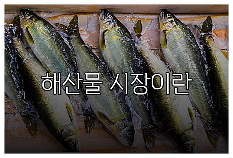 예산 시장 해산물 먹거리를 즐기는 방법