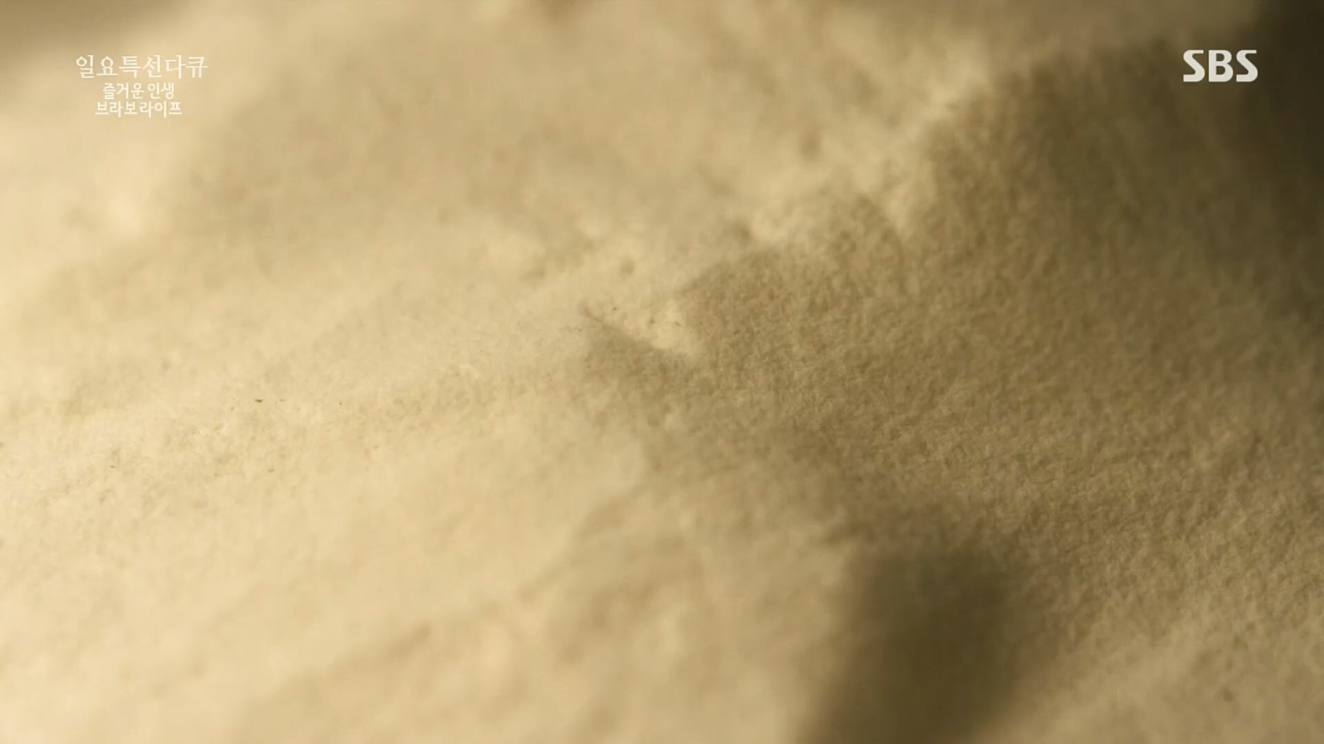 일요 특선 다큐멘터리.E292.221016p.H264-F1RST.mp4_20221018_183623.385.jpg