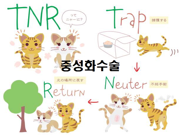  노다지네 잡학다식