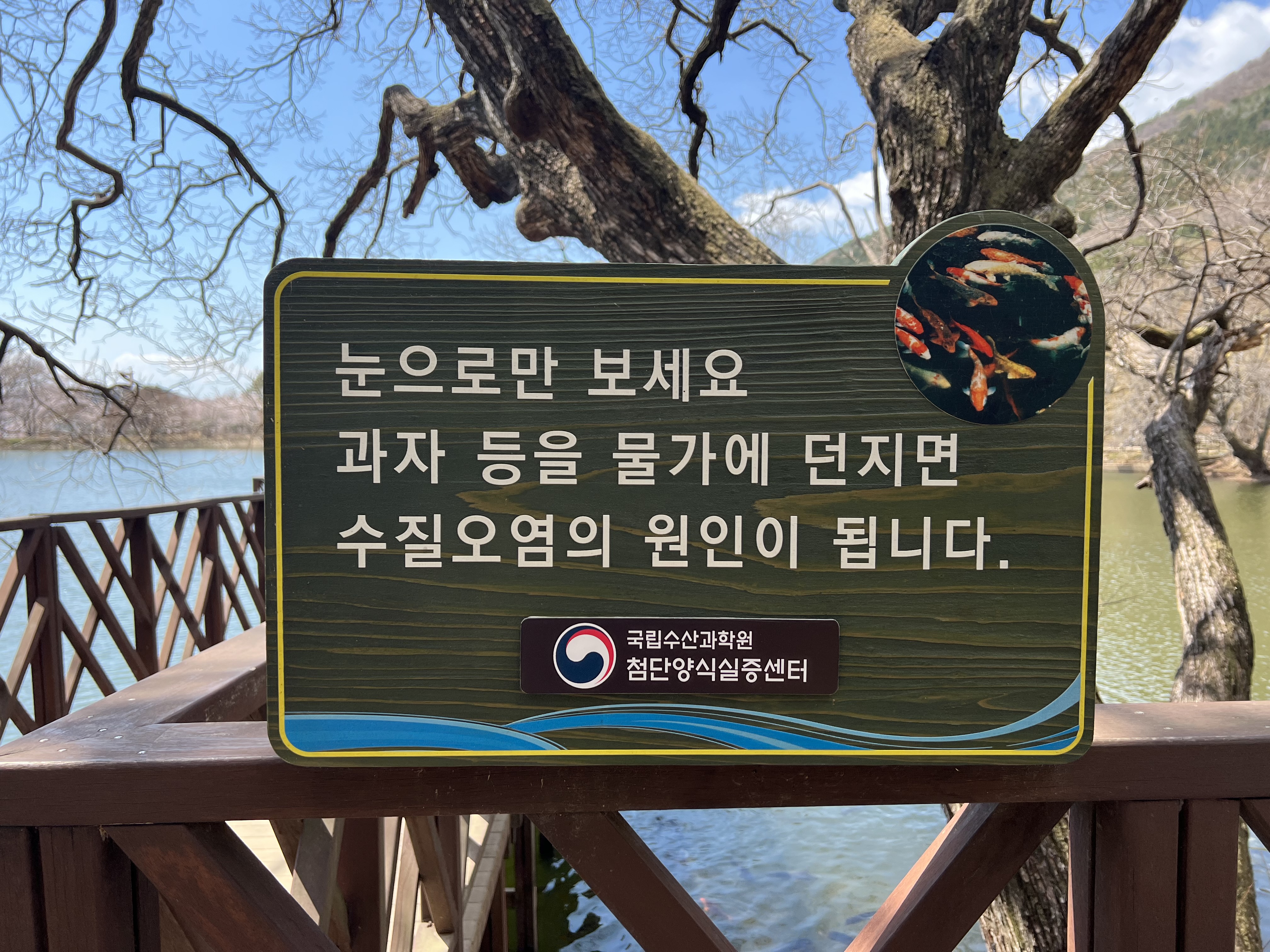 잉어를 키우는 곳