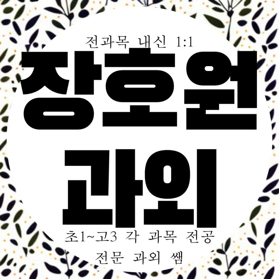  장호원 영어과외 고등 중학생 수학과외 중등 국어 과학 물리 화학
