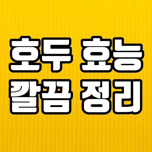  호두 효능 총정리 호두로 건강한 몸 만드세요.