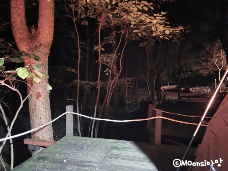 하늘그린캠프, 숲속의 10