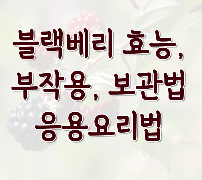 블랙베리 혜택, 부작용, 보관, 레시피 가이드 1