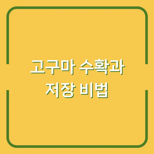 고구마 수확과 저장 비법