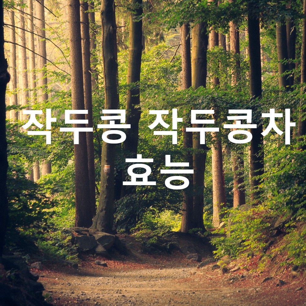  작두콩, 작두콩차 효능