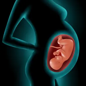 태아 발달 지원 (Support for Fetal Development)