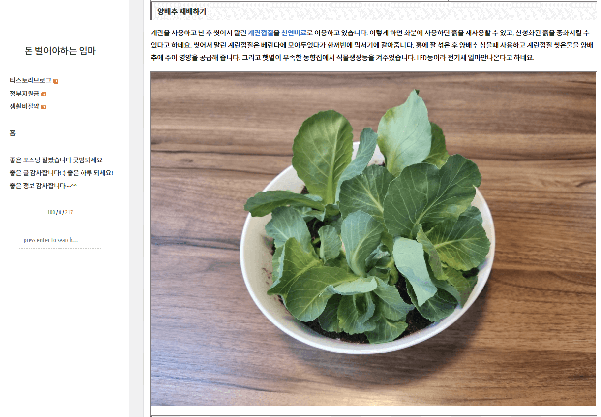  처음 시작하는 티스토리 블로그_코로나19로 회사 이직 투잡시작 쓰리잡 도전 구글애드센스 승인을 위해 파이팅