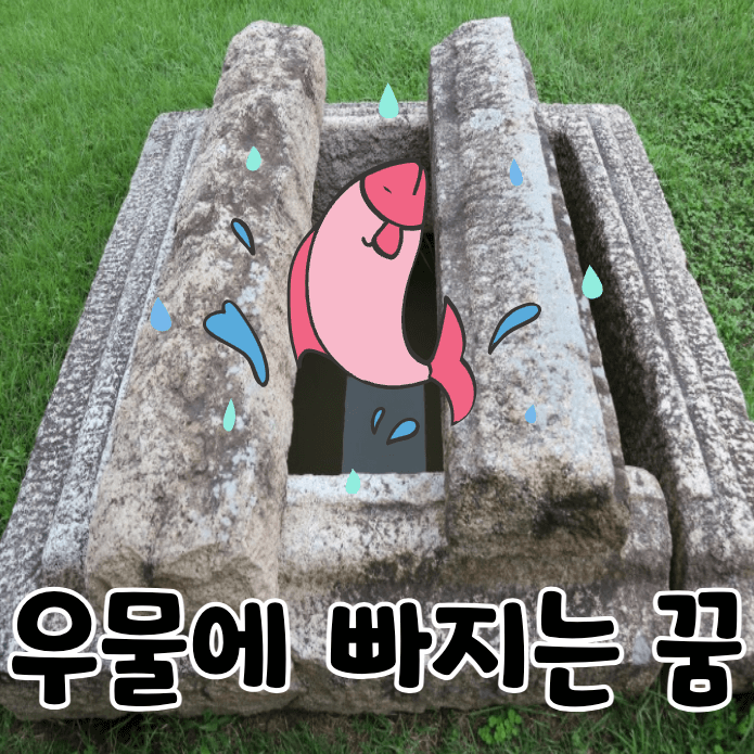 우물에 빠진 물고기