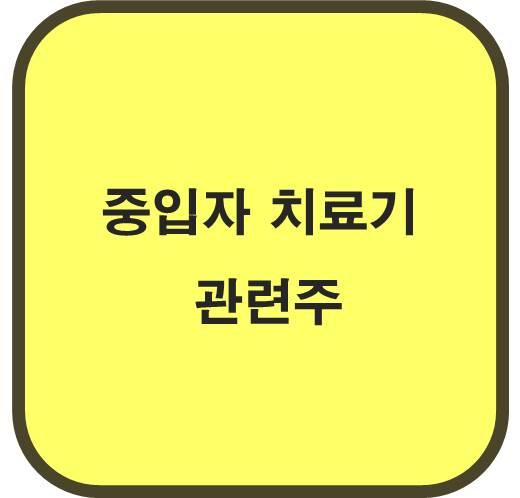 중입자 관련주