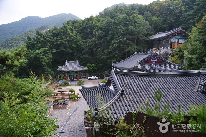 옥천 가볼만한곳 베스트10