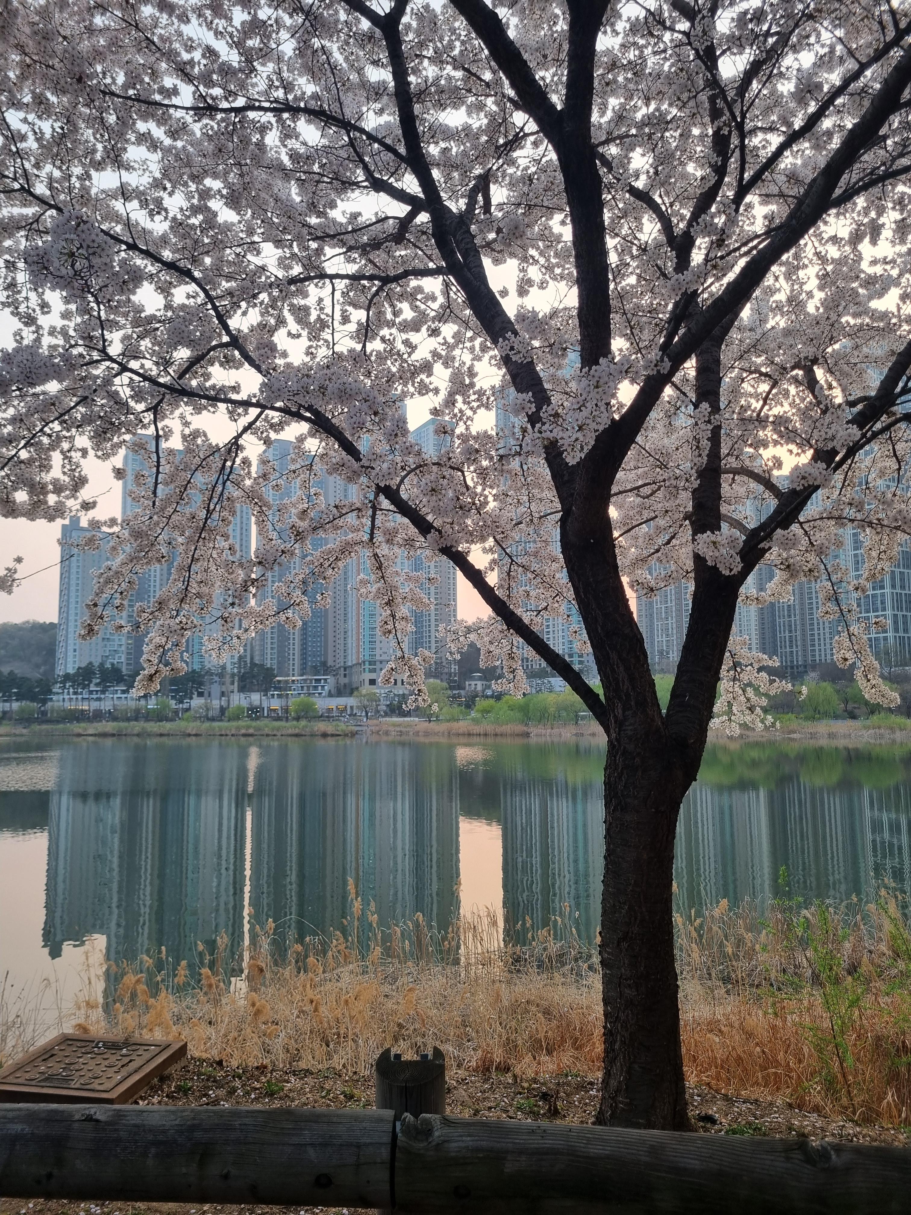 국내여행지 추천