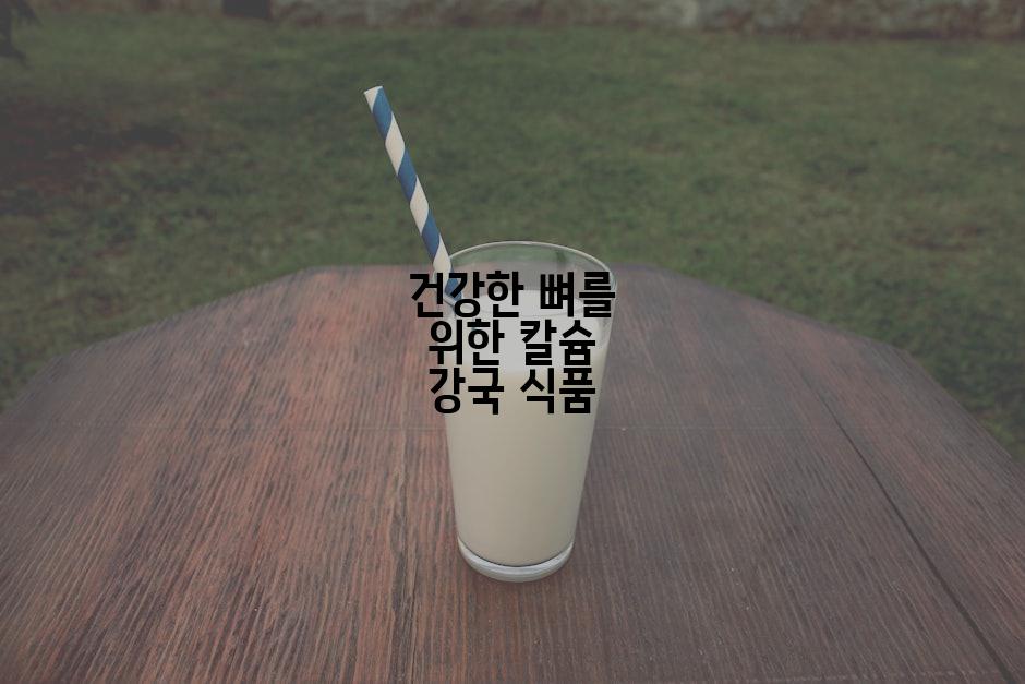 건강한 뼈를 위한 칼슘 강국 식품