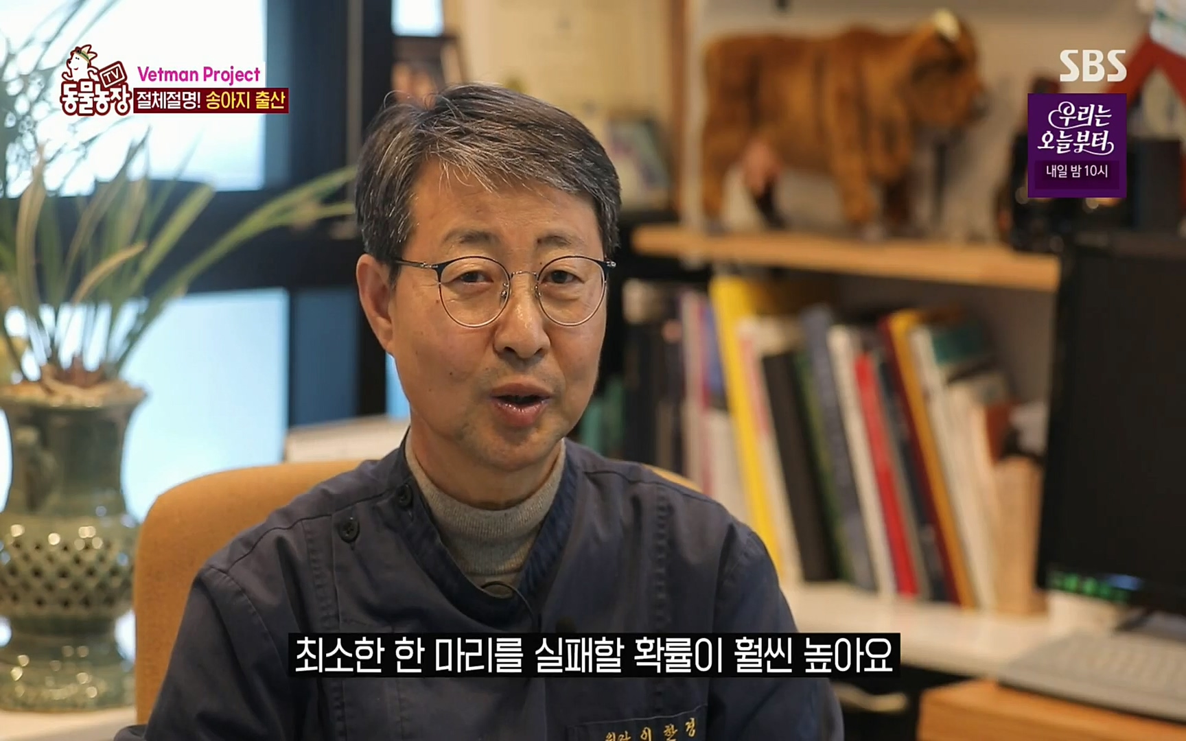 TV 동물농장.E1069.220515p.H264-F1RST.mp4_20220515_180118.682.jpg