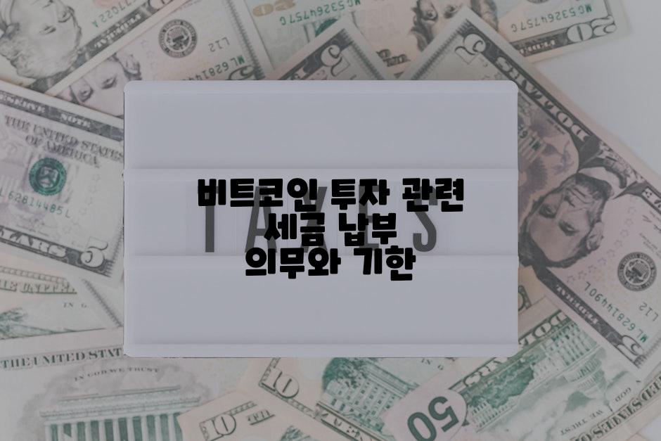 비트코인 투자 관련 세금 납부 의무와 기한