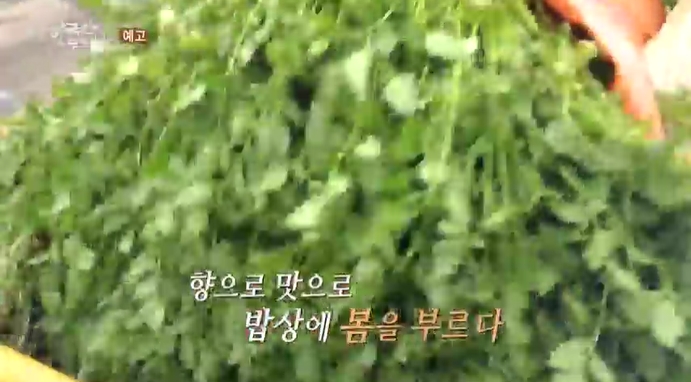 한국인의밥상-순천-미나리