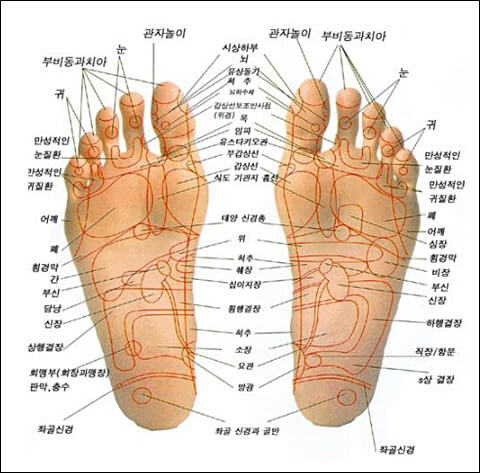 발바닥 통증부위 11