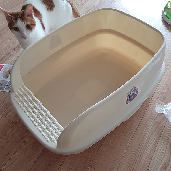 3kg 이상부터는 캣 아이디어 고양이 대형 평판 화장실을 추천드립니다.