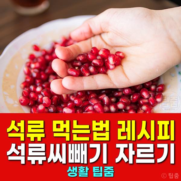 석류 맛있게 먹는 방법 석류 씨 빼는 방법 석류 자르는 방법