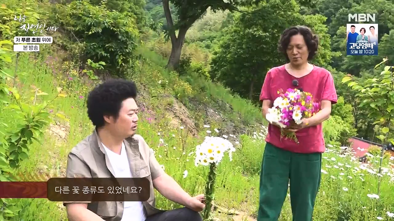 나는 자연인이다.E607.240530p-NEXT.mp4_20240530_200522.156.jpg