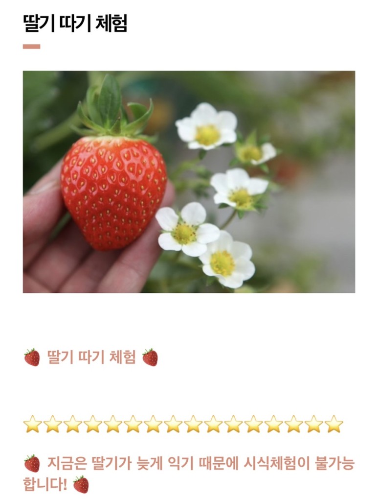 정현딸기농장, 42