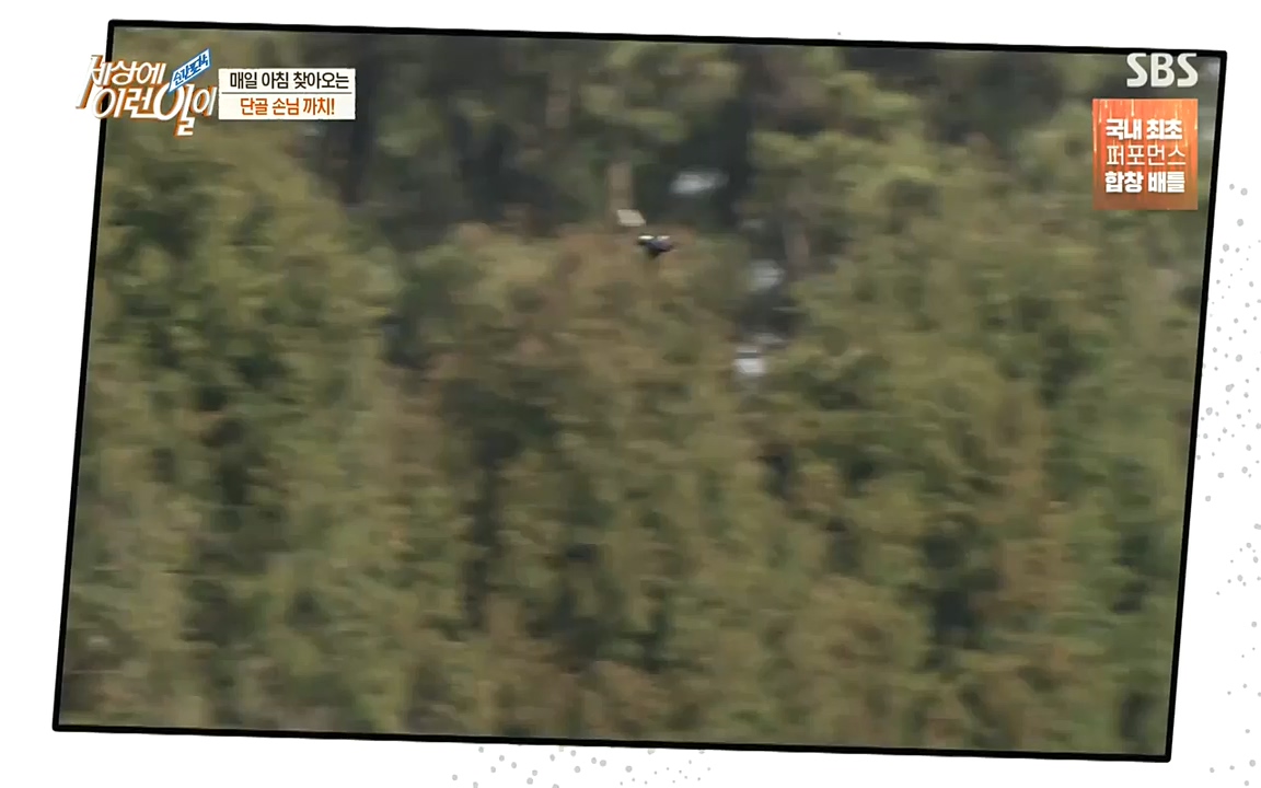순간포착 세상에 이런일이.E1198.220920.H265p-BULDU.mp4_20220921_201951.948.jpg