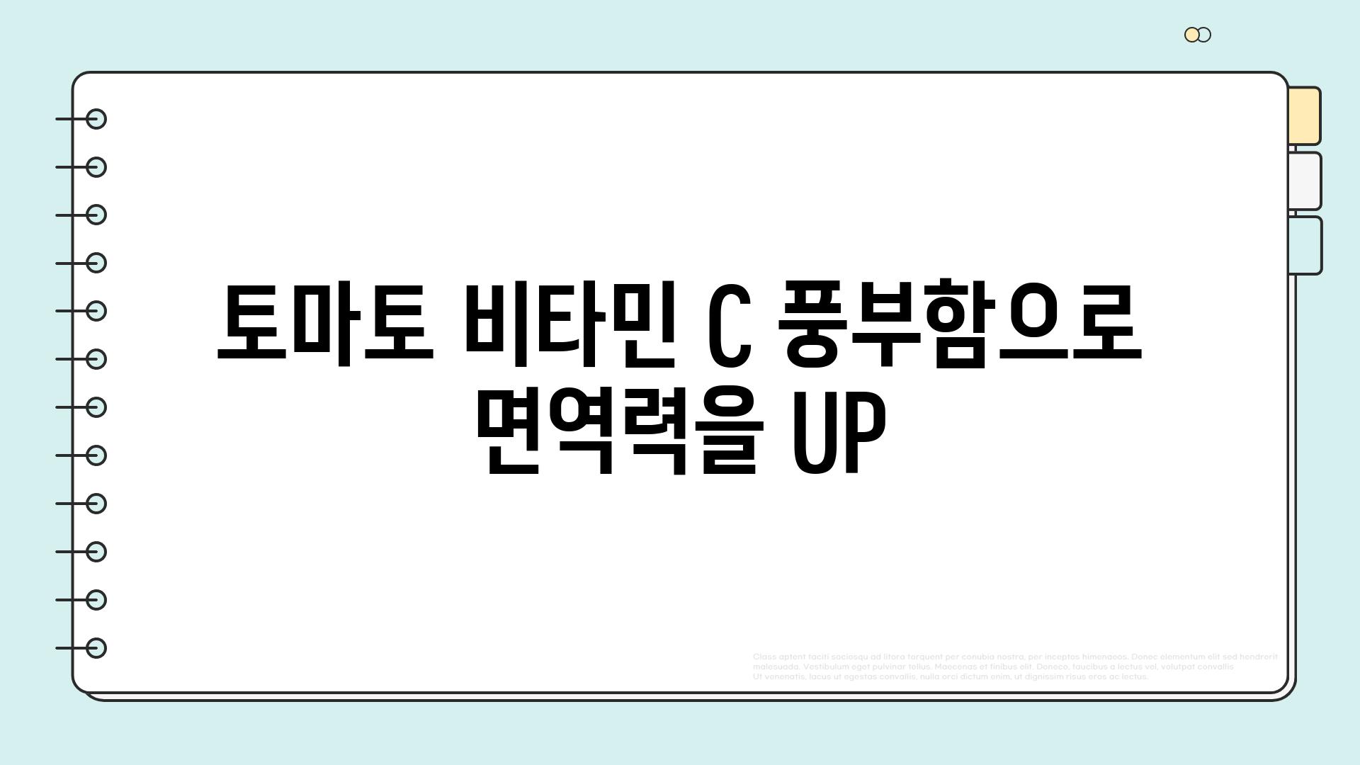 토마토 비타민 C 풍부함으로 면역력을 UP