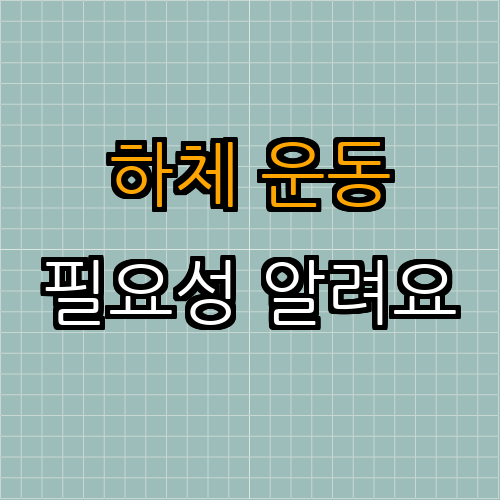 1. 하체 근력 운동의 필요성
