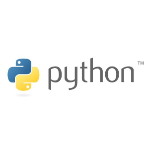 python dict 'str' object does not support item assignment