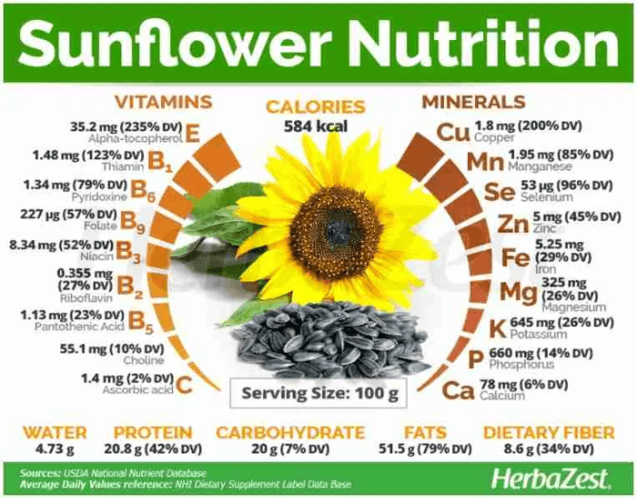 해바라기 씨앗 Sunflower Seeds
