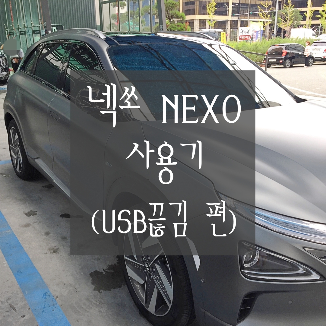  [넥쏘(NEXO) 사용기] UBS 끊김 현상 (Feat. 증상, 수리 과정, 작업 내용 등)