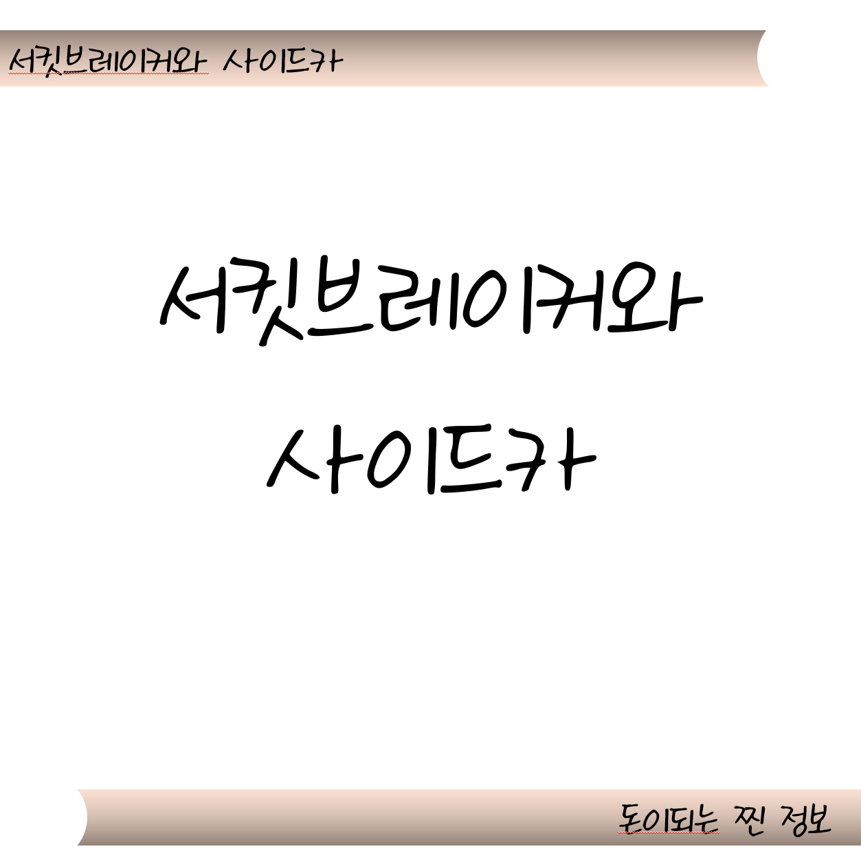 서킷브레이커와 사이드카