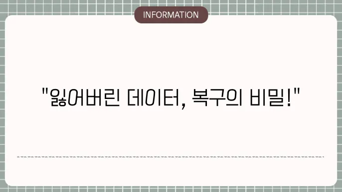 손상된 sd카드 복구