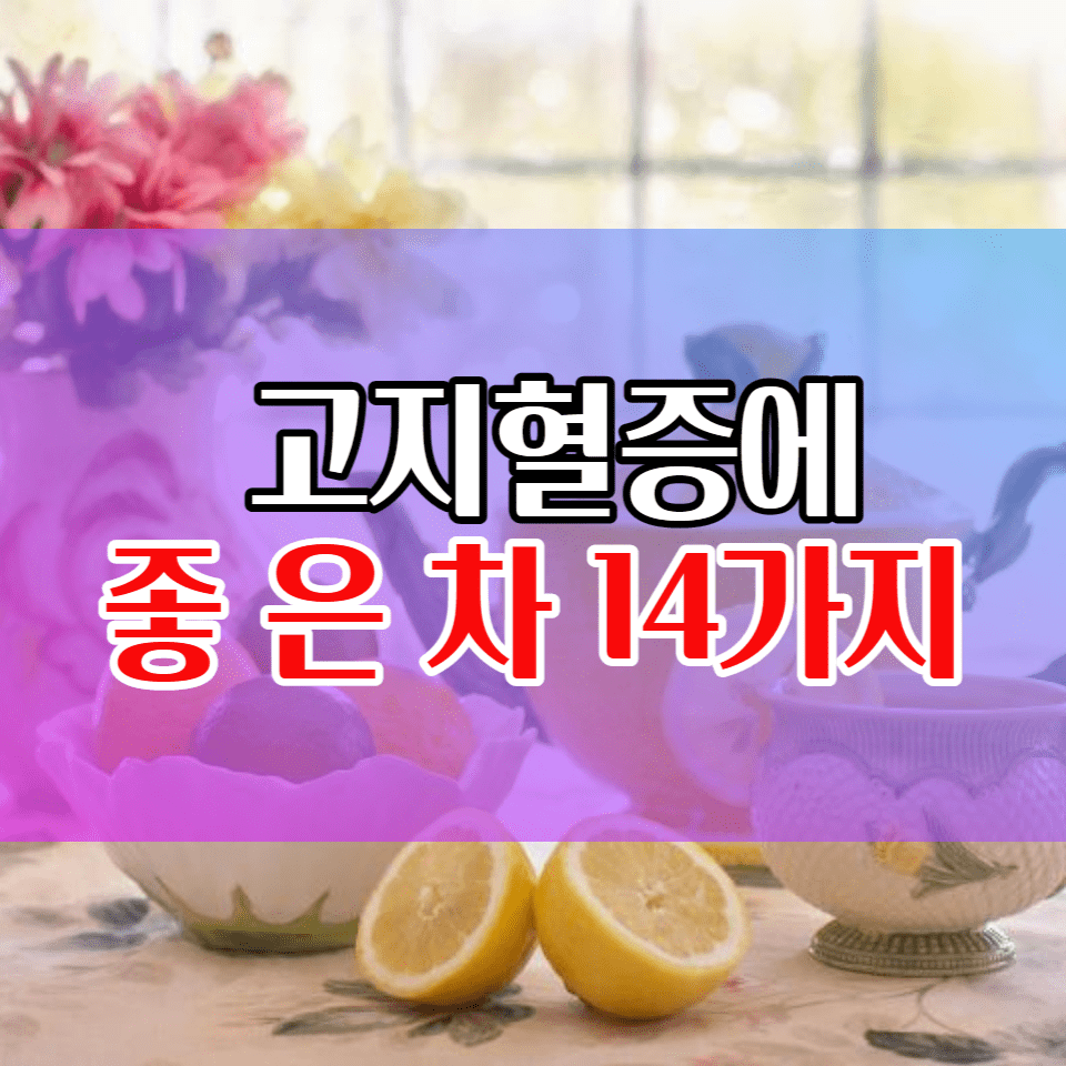  고지혈증에 좋은 차 14가지 체크하세요.