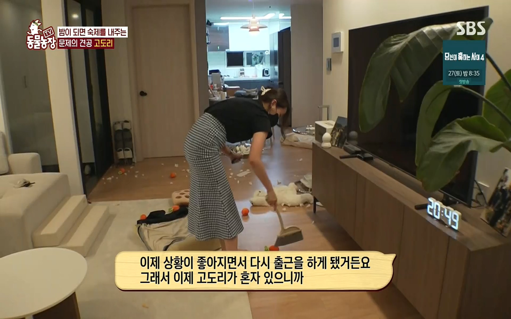 TV 동물농장.E1083.220821p.H264-F1RST.mp4_20220821_183650.578.jpg