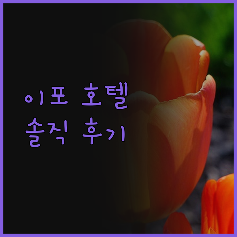 아트웍스 호텔 이포, 가성비 끝판왕?