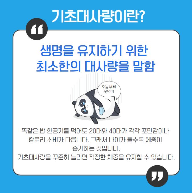 기초대사량 계산기