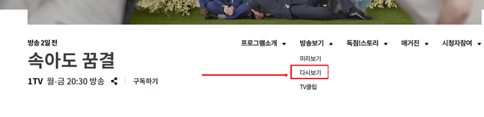 속아도 꿈결 드라마 소개 공식홈페이지