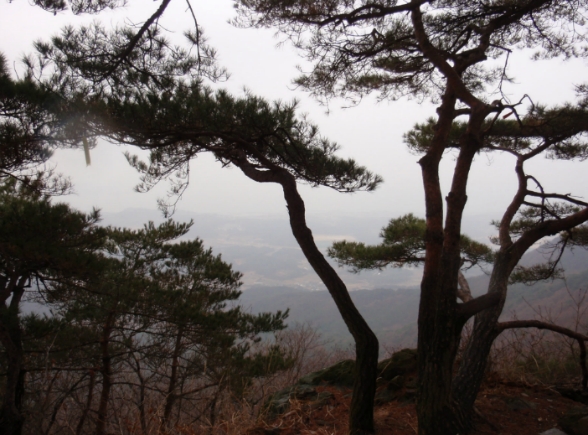 장안휴게소 이미지