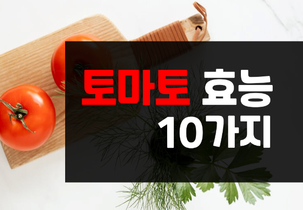  대저 짭짤이 토마토 효능 10가지 총정리