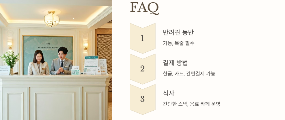 질문모음