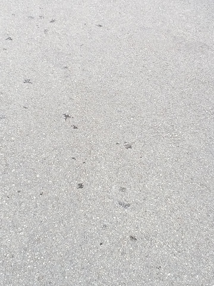  글을 쓰려면 주제부터 정하는 게 좋다