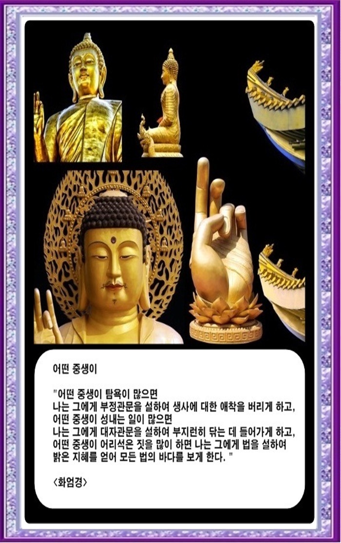 (오늘의 부처님 말씀) - 인생이란 무엇인가 3