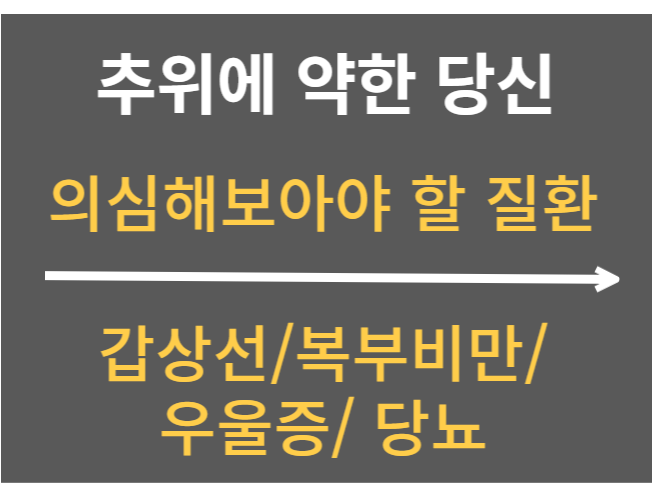  유난히 추위를 많이 탄다면 의심해보아야 할 질환 갑상선 복부비만 우울증 당뇨