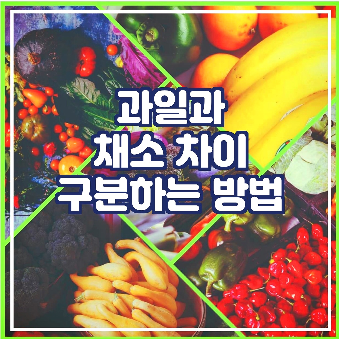 과일과 채소 차이 그리고 구분하는 방법