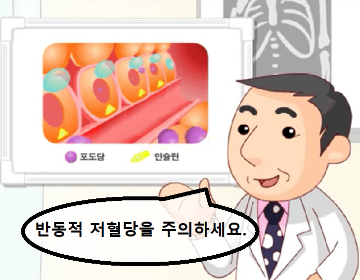 반동적저혈당주의사진