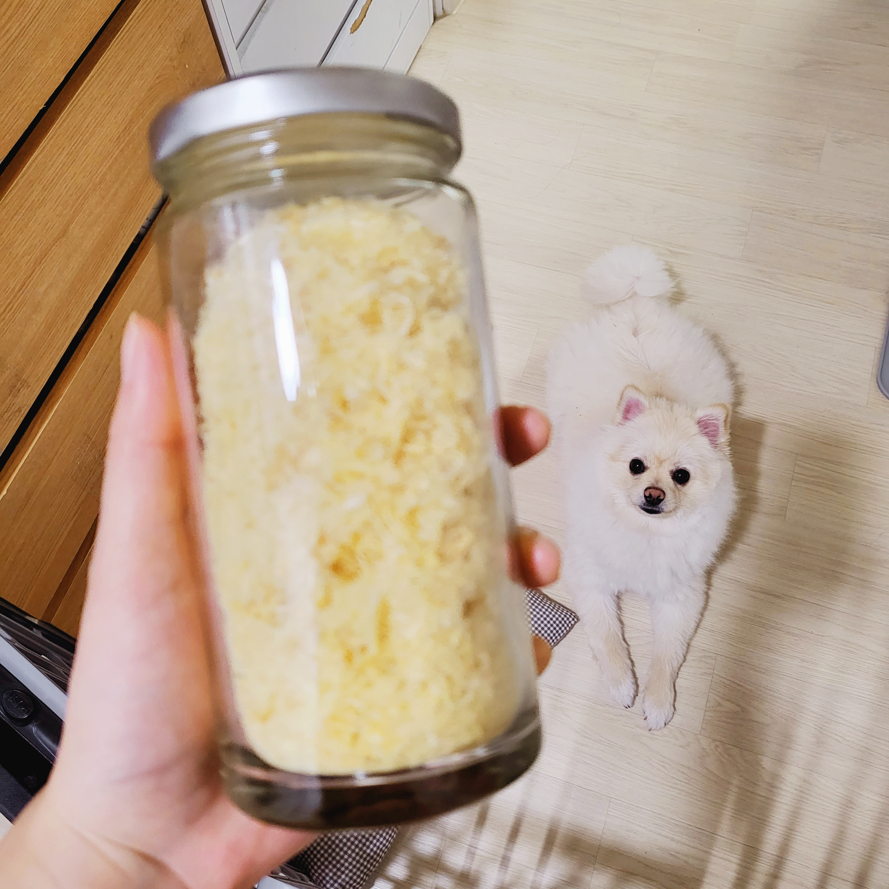  [댕댕이 춘식이] 반려견을 위한 황태 토핑 만들어보기