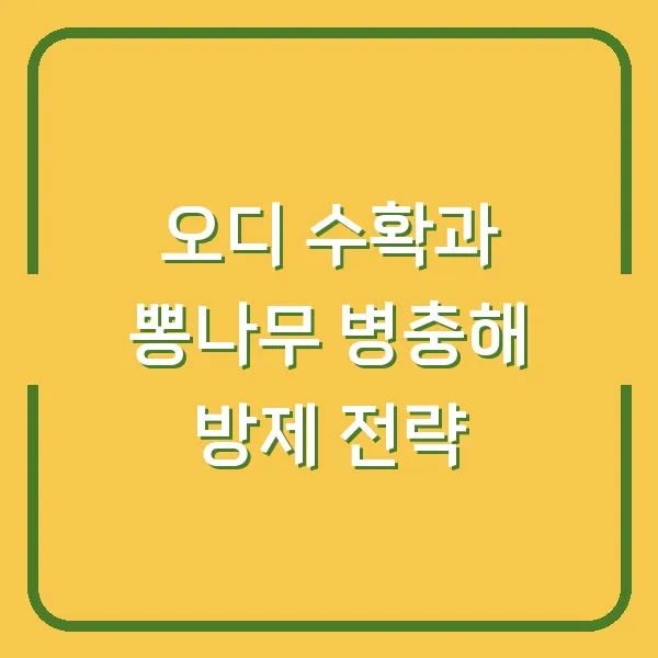 오디 수확과 뽕나무 병충해 방제 전략